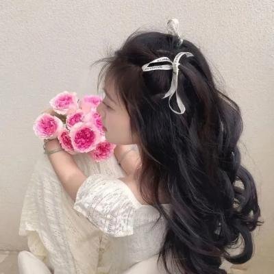 案中案